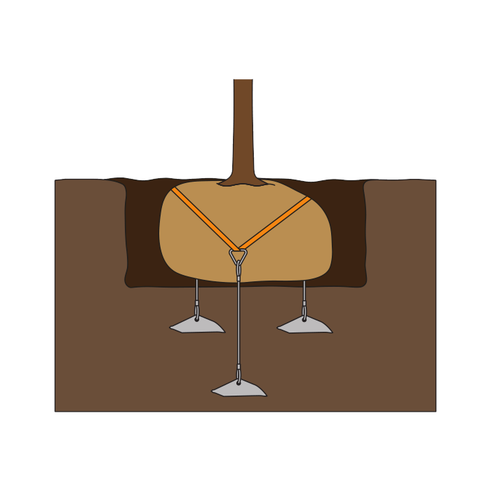 Underground Root Ball Support Kits