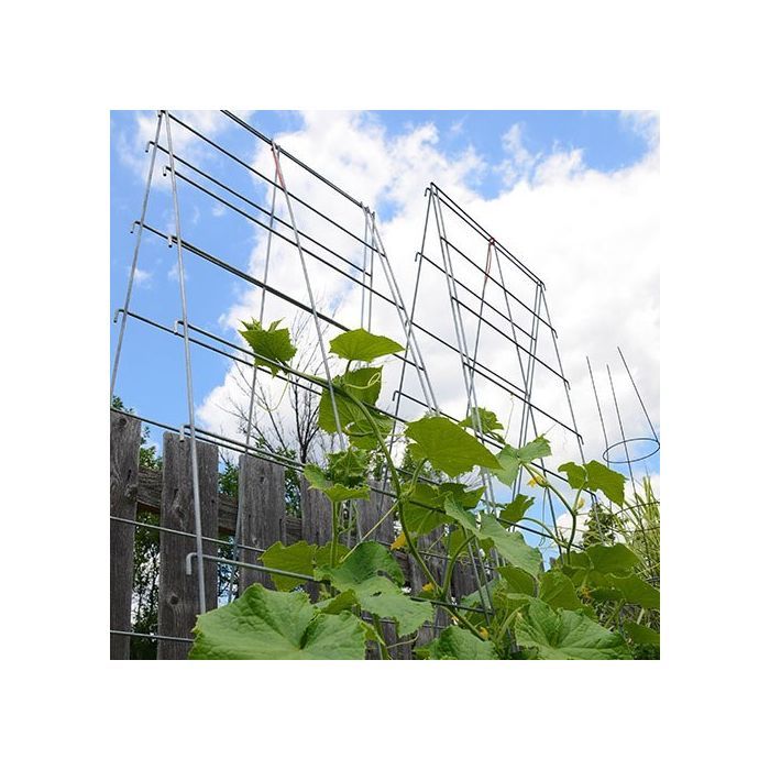 cable trellis system for climbing plants Vine Spine® Trellis Systems – Better Bilt Products