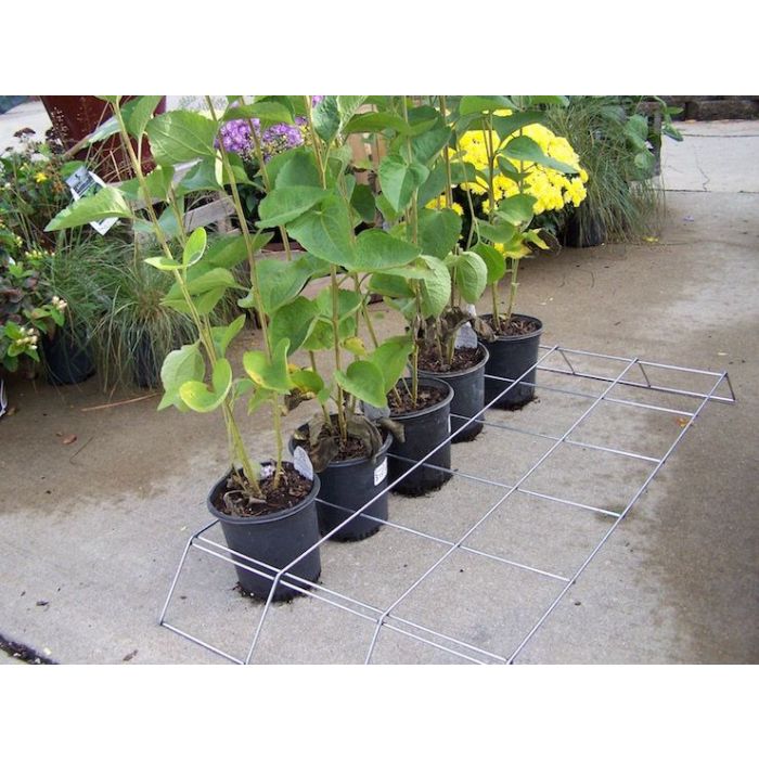 Pot Holder Grid