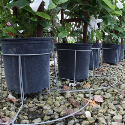 5 Gallon TopHat® Container Stabilizer
