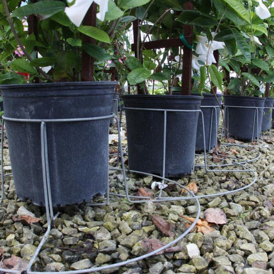 5 Gallon TopHat® Container Stabilizer