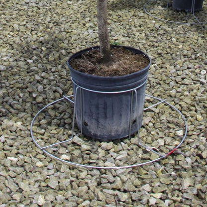 7 Gallon TopHat® Container Stabilizer