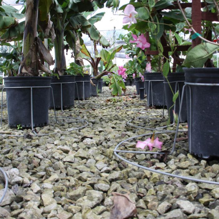 7 Gallon TopHat® Container Stabilizer