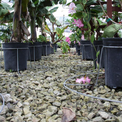 7 Gallon TopHat® Container Stabilizer