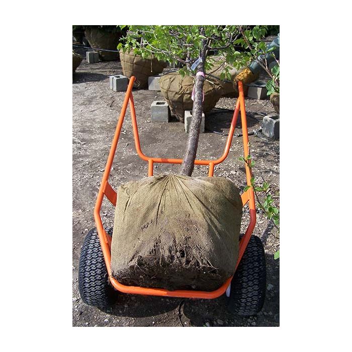 Diablo Nursery Ball Cart