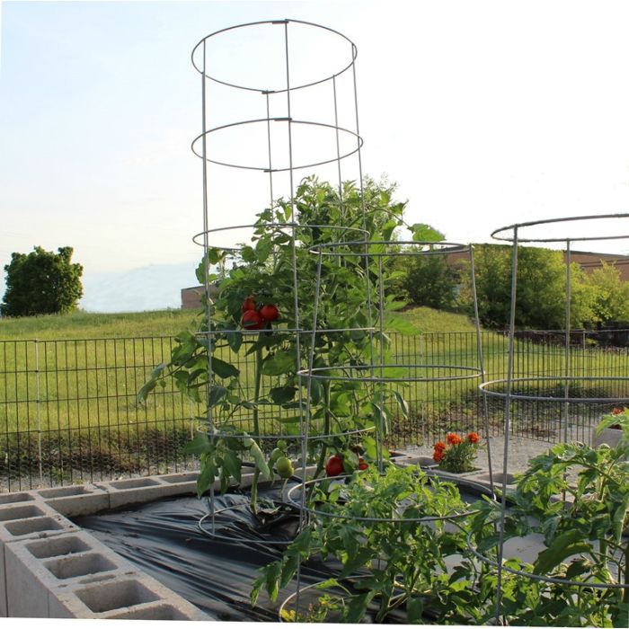 64” Tomato Cage