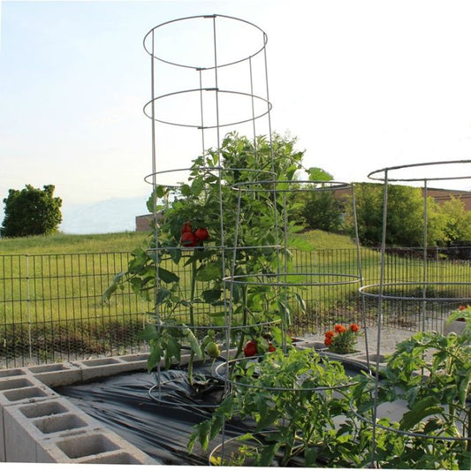 64” Tomato Cage
