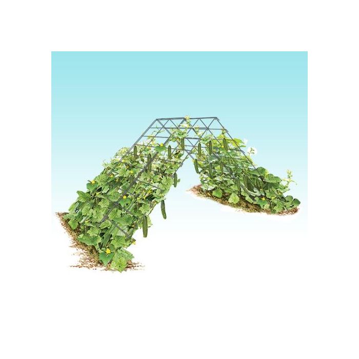 Vine Spine® Trellis Systems