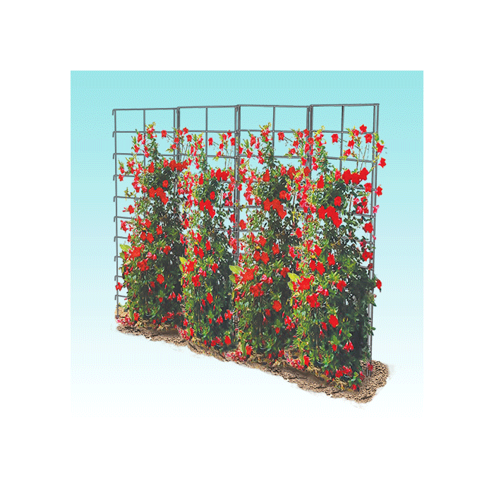 Vine Spine® Trellis Systems