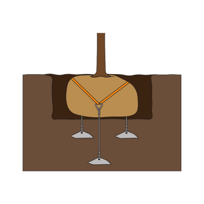 Underground Root Ball Support Kits